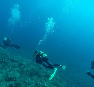 Foto Corso di Perfezionamento in Archeologia Subacquea all’Isola del Giglio