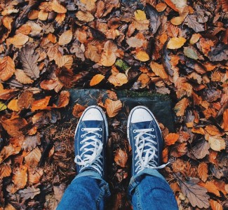 Foto Un autunno ricco di novità formative