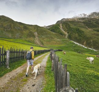 Foto Master Turismo esperienziale e Management Destinazioni Turistiche